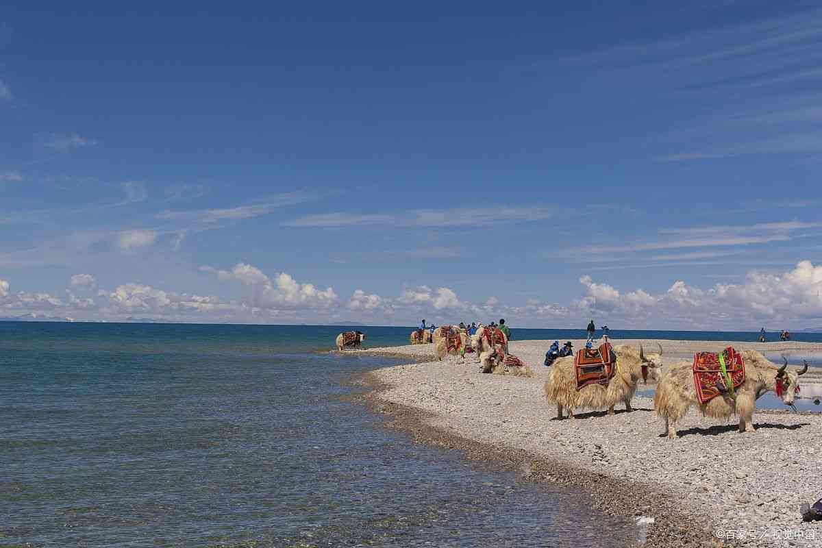 青海包车旅游正规公司排名第一是哪家