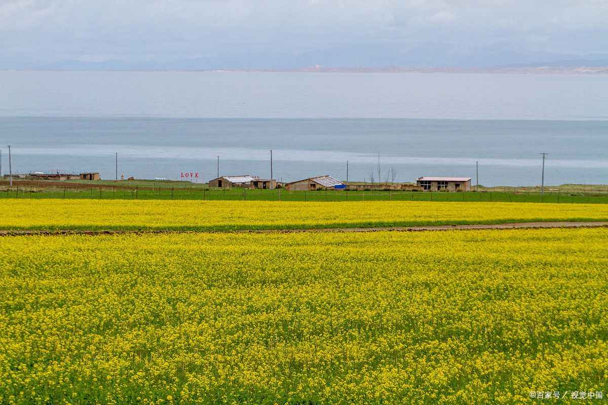 青海包车旅游正规公司电话是多少